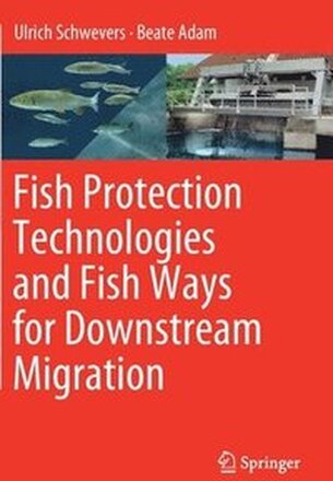 Fish Protection Technologies and Fish Ways for Downstream Migration