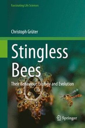 Stingless Bees