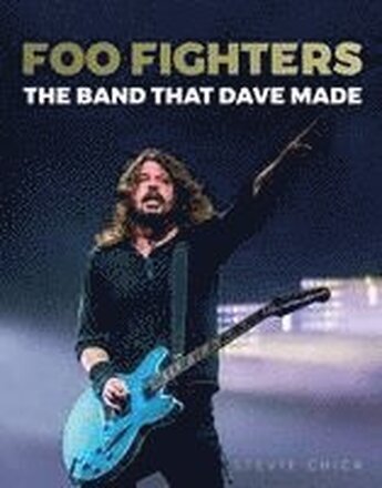 Foo Fighters: The Band that Dave made