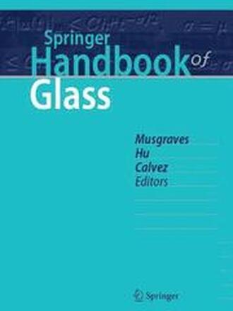 Springer Handbook of Glass