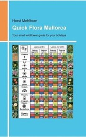 Quick Flora Mallorca: Your small wildflower guide for your holidays