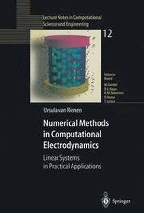 Numerical Methods in Computational Electrodynamics