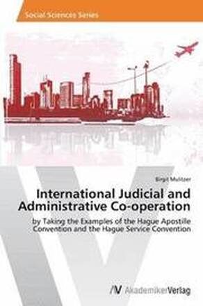 International Judicial and Administrative Co-operation