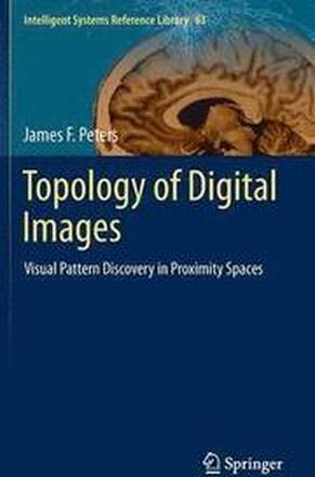 Topology of Digital Images