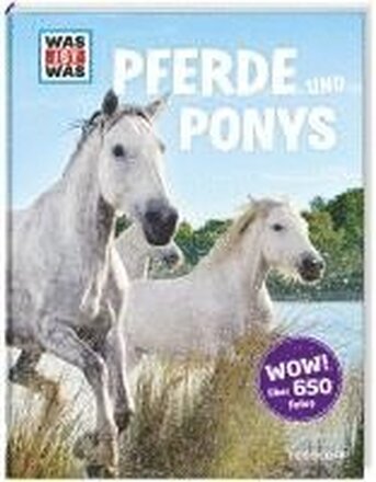 Was ist was: Pferde und Ponys