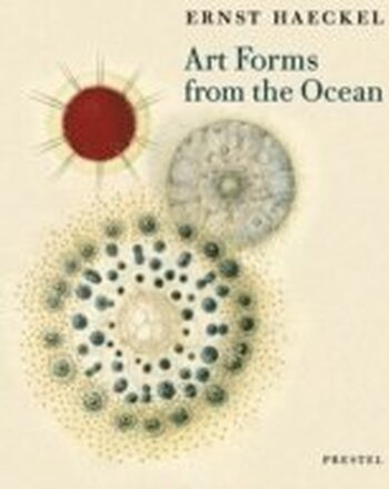 Art Forms from the Ocean: the Radiolarian Prints of Ernst Haeckel