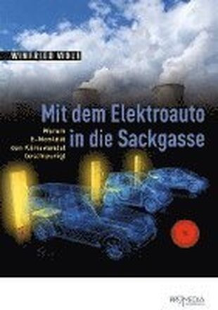 Mit dem Elektroauto in die Sackgasse