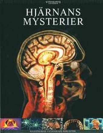 Hjärnans mysterier