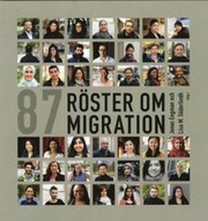 87 röster om migration