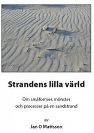 Strandens lilla värld : om småformer, mönster och processer på en sandstrand