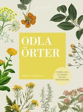 Odla örter : planera, odla och skörda din egen kryddträdgård