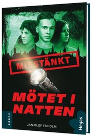 Mötet i natten