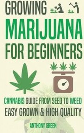 Growing Marijuana for Beginners