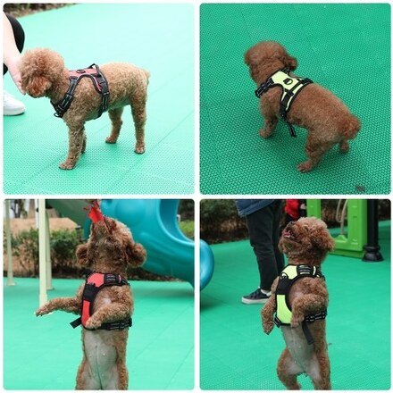 Hundegeschirre Reflektierende Diensthundegeschirre Verstellbare Diensthundeweste für Outdoor Walking XL