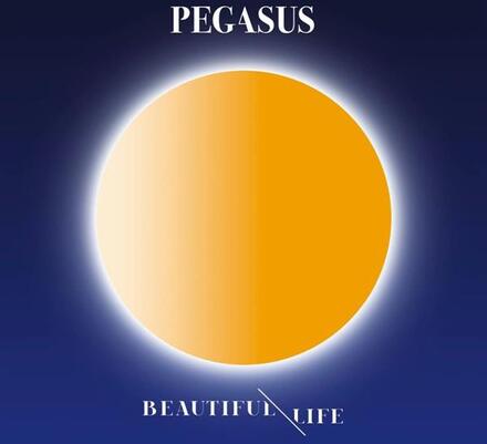 Pegasus: Beautiful Life