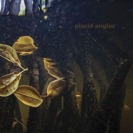 Placid Angels: Touch The Earth