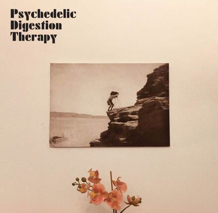 Psychedelic Digestion Therapy: Psychedelic Di...