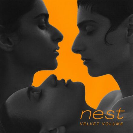 Velvet Volume: Nest