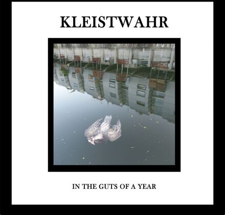 Kleistwahr: In The Guts Of A Year