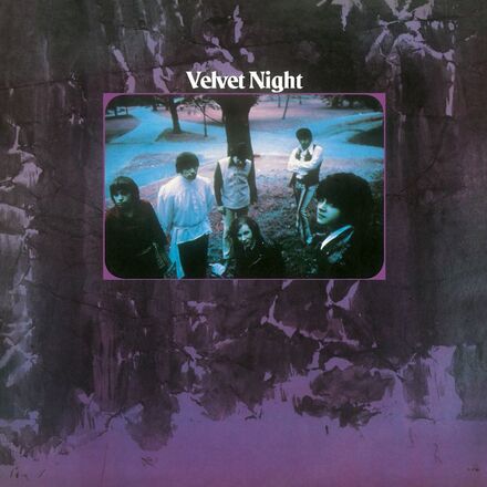 Velvet Night: Velvet Night (Violet)