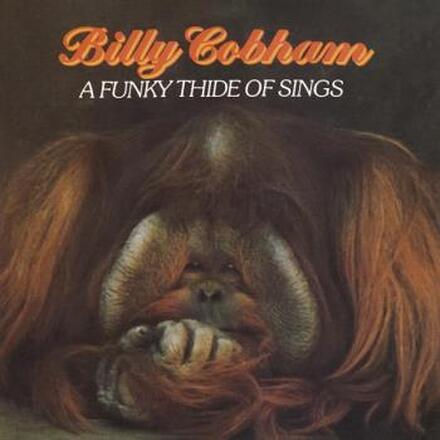 Cobham Billy: A Funky Thide of Sings