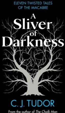 Sliver Of Darkness