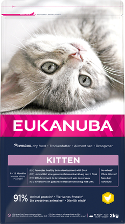 Eukanuba Healthy Start Kitten - Økonomipakke: 3 x 2 kg