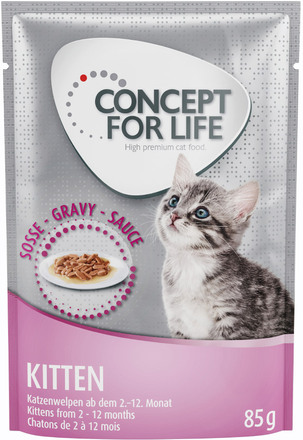 Concept for Life Maine Coon Kitten - förbättrad formel! - Som tillskott: 12 x 85 g Concept for Life Kitten i sås