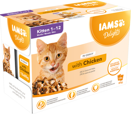 IAMS Delights Kitten i saus - 24 x 85 g Kylling i saus