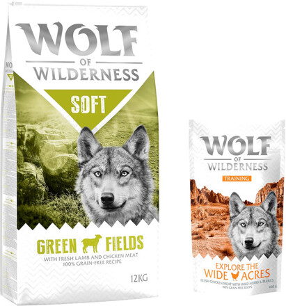 12 kg Wolf of Wilderness 12 kg + 100 g Training "Explore" på köpet! - Green Fields - Lamb (halvfuktigt)