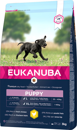 Eukanuba Puppy Large Breed Chicken - 3 kg