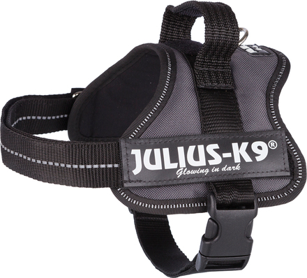 JULIUS-K9®-Power-koiranvaljaat, antrasiitti - Mini/M: 51–67 cm