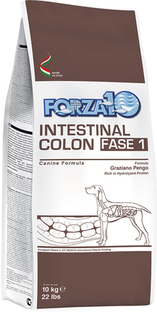 Forza 10 Active Line Intestinal Colon Phase 1 med fisk - Ekonomipack: 2 x 10 kg