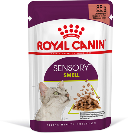 Royal Canin Sensory Smell i saus - 24 x 85 g
