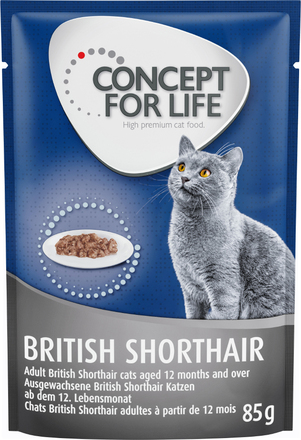 Concept for Life British Shorthair Adult - förbättrad formel! - Som tillskott: 12 x 85 g Concept for Life British Shorthair