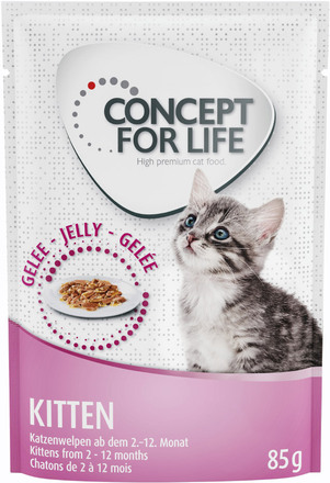 Concept for Life Maine Coon Kitten - förbättrad formel! - Som tillskott: 12 x 85 g Concept for Life Kitten i gelé
