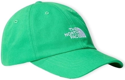 The North Face Lippalakit Norm Cap - Optic Emerald