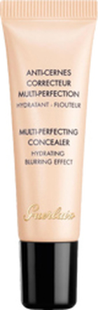 Multi Perfecting Concealer, 12ml, 04 Meidum Rose