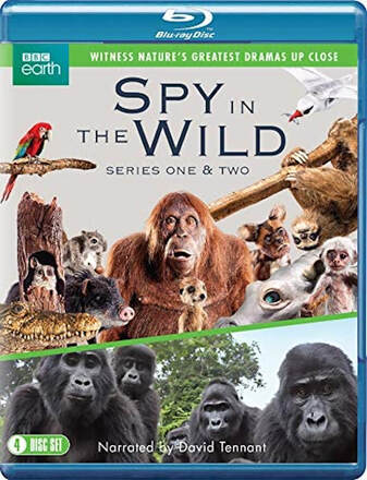 Spy in the Wild: Series 1-2