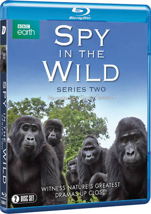 Spy in the Wild: Series 2