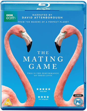 The Mating Game BD