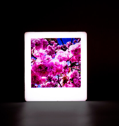 Magnetic Rose Gold Mini Photo Light Box