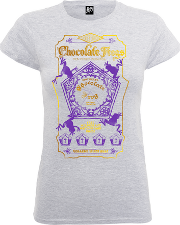 Harry Potter Honeydukes Purple Chocolate Frogs Women's Grey T-Shirt - L