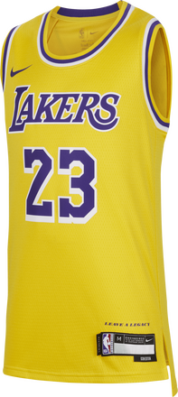 LeBron James Los Angeles Lakers 2023/24 Icon Edition