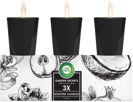 Air Wick Garden Secrets Scented Candles Gift Pack Mixed Fragrances 220 g 3 stk.