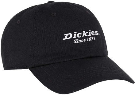 Dickies Dickies Men's Twill Dad Hat Black Kepsar OneSize