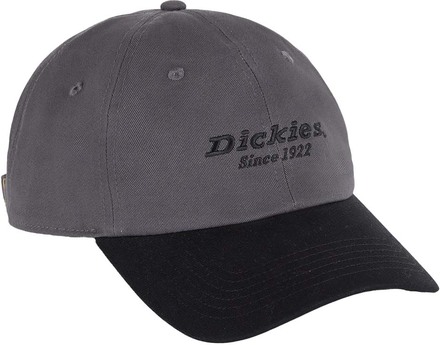 Dickies Dickies Men's Twill Dad Hat Graphite Kepsar OneSize