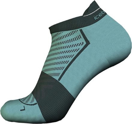 Icebreaker Icebreaker Men's Merino Run+ Ultralight Micro Cloud Ray/Fathom Green Träningsstrumpor 42-44