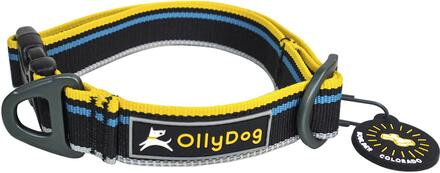 OllyDog OllyDog Urban Trail Reflective Collar Anthracite Hundeseler & hundehalsbånd L