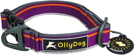 OllyDog OllyDog Urban Trail Reflective Collar Wild Aster Hundeseler & hundehalsbånd S